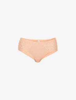 Chantelle Norah Floral-embroidered Stretch-lace Briefs